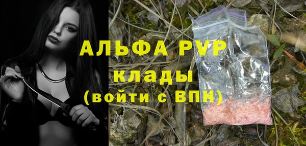 мдпв Верхний Тагил